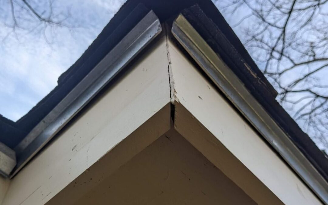 Revamping Your Home with Big Orange Gutters: Fascia Board Repair and Replacement